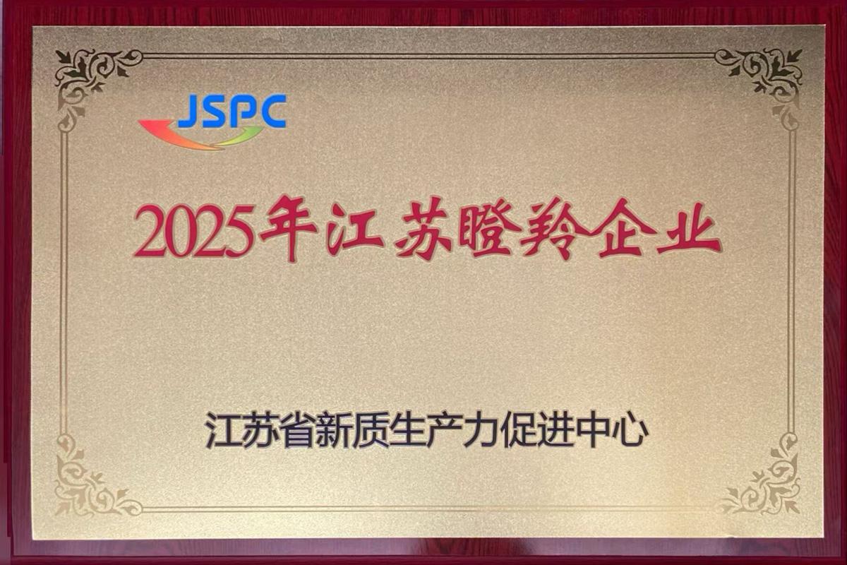 2025年恒盾瞪羚企业